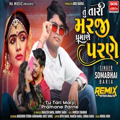 Tu Tari Marji Pramane Parne - Title Song